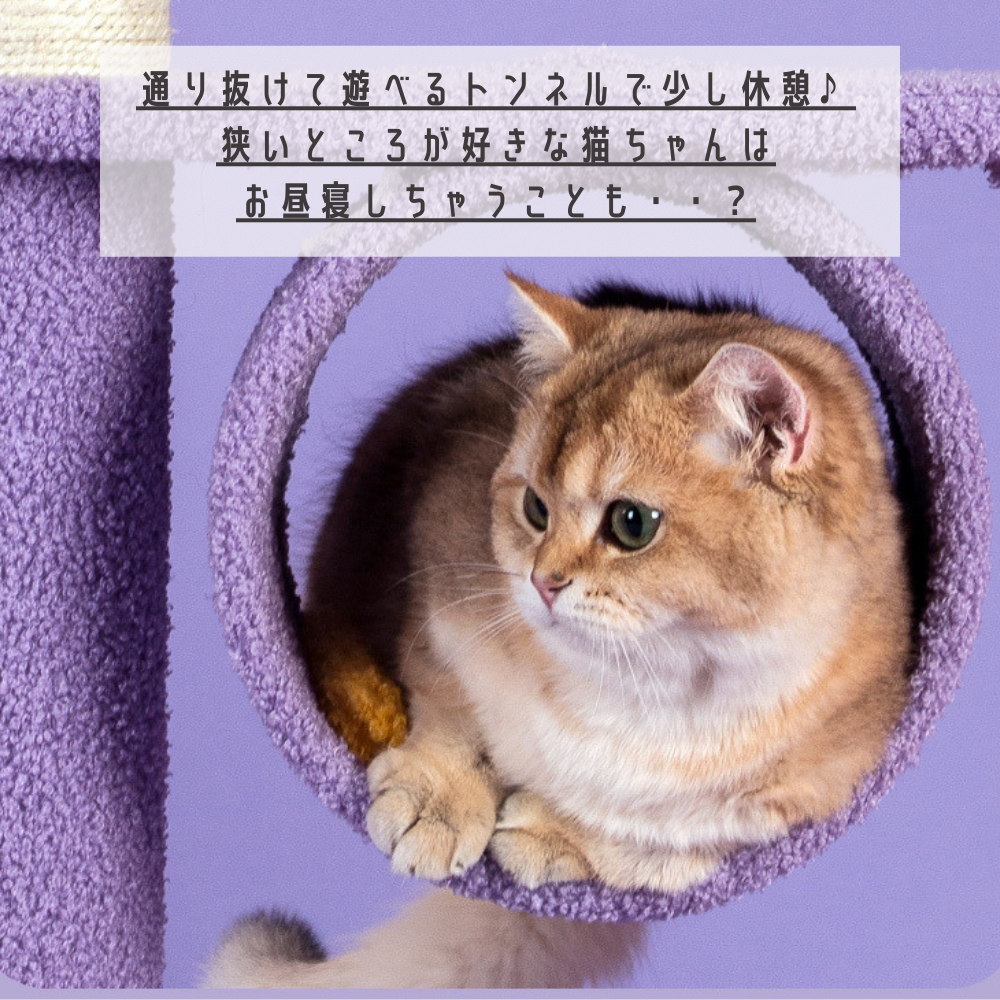 ゆめかわ夜空キャットタワー - Riderpet 猫家具の通販
